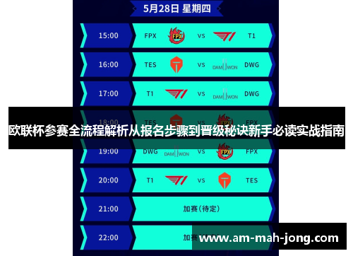 欧联杯参赛全流程解析从报名步骤到晋级秘诀新手必读实战指南